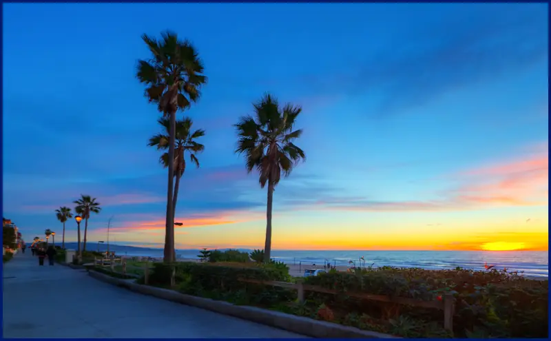 Palm trees on the Strand at sunset